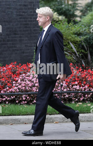 Westminster, Londra, Regno Unito. Il 29 agosto, 2019. Jo Johnson, Ministro per l'Università e la scienza e il PM Boris Johnson del fratello, entra n. 10 di Downing Street questa sera. Credito: Imageplotter/Alamy Live News Foto Stock
