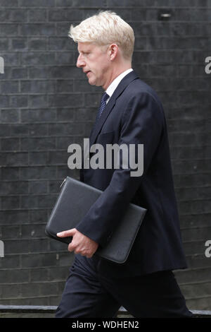 Westminster, Londra, Regno Unito. Il 29 agosto, 2019. Jo Johnson, Ministro per l'Università e la scienza e il PM Boris Johnson del fratello, entra n. 10 di Downing Street questa sera. Credito: Imageplotter/Alamy Live News Foto Stock