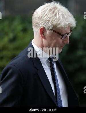 Westminster, Londra, Regno Unito. Il 29 agosto, 2019. Jo Johnson, Ministro per l'Università e la scienza e il PM Boris Johnson del fratello, entra n. 10 di Downing Street questa sera. Credito: Imageplotter/Alamy Live News Foto Stock
