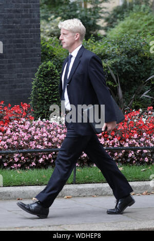 Westminster, Londra, Regno Unito. Il 29 agosto, 2019. Jo Johnson, Ministro per l'Università e la scienza e il PM Boris Johnson del fratello, entra n. 10 di Downing Street questa sera. Credito: Imageplotter/Alamy Live News Foto Stock