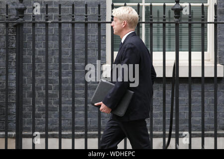 Westminster, Londra, Regno Unito. Il 29 agosto, 2019. Jo Johnson, Ministro per l'Università e la scienza e il PM Boris Johnson del fratello, entra n. 10 di Downing Street questa sera. Credito: Imageplotter/Alamy Live News Foto Stock