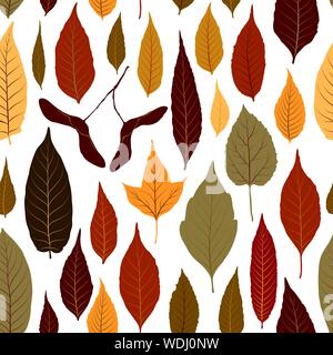 Seamless pattern sfondo vettoriale con colorate Foglie di autunno Illustrazione Vettoriale