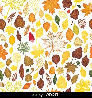 Modello senza giunture di foglie di autunno sfondo vettoriale Illustrazione Vettoriale