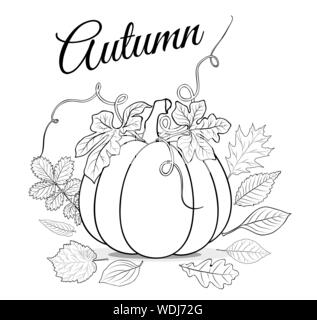 Autunno sfondo con zucca e lascia per la colorazione di vettore del libro Illustrazione Vettoriale