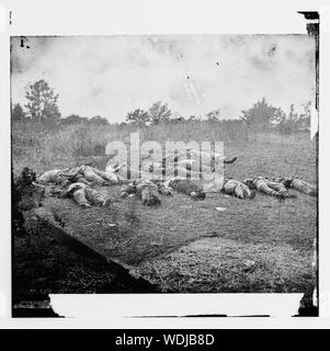 Gettysburg, Pennsylvania. [Morto confederato, vista guardando verso il frutteto sul Rose farm, Luglio 5, 1863] Foto Stock