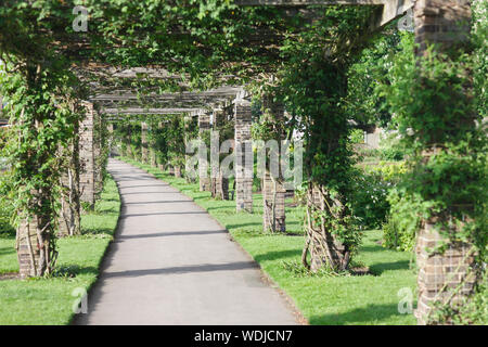 Percorso in un giardino botanico con speciali pilastri e travi per piante rampicanti Foto Stock