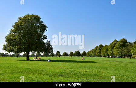 Prato e alberi con persone rilassante in sun su Bristol Downs Durdham public city park, Regno Unito Foto Stock