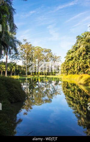 Inhotim, Istituto di Arte Contemporanea e il Giardino Botanico, Brumadinho, Minas Gerais, Brasile Foto Stock