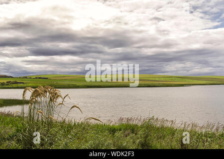 Tipico paesaggio nelle isole di Orkney, isole Orcadi Scozia, Highlands Foto Stock