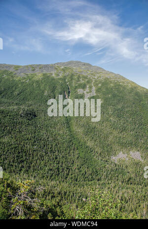 Il Monte Adams dal lungo i sei mariti Trail in Thompson e Meserve l'acquisto, New Hampshire durante i mesi estivi; parte della Ran presidenziale Foto Stock