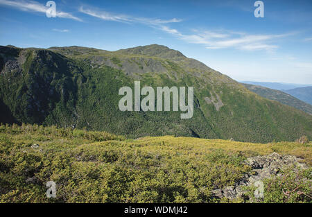 Il Monte Adams dal lungo i sei mariti Trail in Thompson e Meserve l'acquisto, New Hampshire durante i mesi estivi; parte della Ran presidenziale Foto Stock