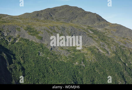 Il Monte Adams dal lungo i sei mariti Trail in Thompson e Meserve l'acquisto, New Hampshire durante i mesi estivi; parte della Ran presidenziale Foto Stock