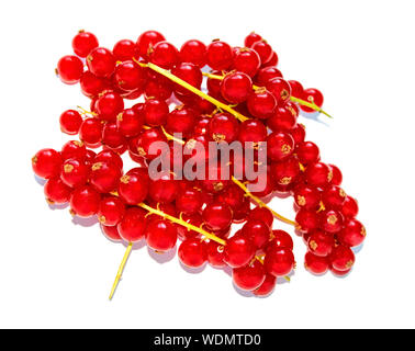 Fresche biologiche mature di ribes rosso bacche isolati su sfondo bianco. Ribes rosso bacche sui peduncoli. Foto Stock