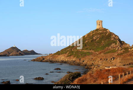 Vista la natura delle Isole Sanguinaires, piccolo arcipelago vicino a Ajaccio ,Corsica, Francia. Foto Stock