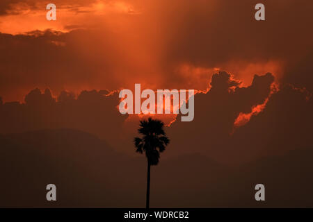 Villaggio indiano vista al tramonto, silhouette di palme al golden ora Foto Stock