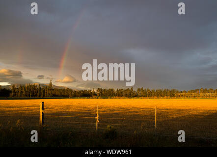 Un arcobaleno di sera illumina il cielo di sera su terreni agricoli a Canterbury, Nuova Zelanda Foto Stock