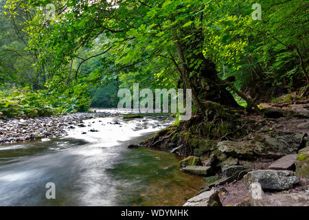 Fiume Wutach in Wutach Gorge, Foresta Nera, Baden-Württemberg, Germania Foto Stock