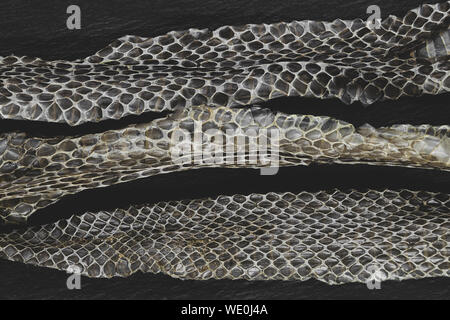 Una parte della vecchia scesa biscia (lotto. Natrix natrix, inanellati snake o acqua snake) pelli sulla pietra nera superficie di sfondo Foto Stock