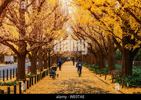 Dic 5, 2018 Tokyo, Giappone - Tokyo giallo ginkgo tunnel di alberi a Jingu gaien avanue in autunno con Tourist Godetevi il paesaggio. Attrazioni famose a novembre Foto Stock