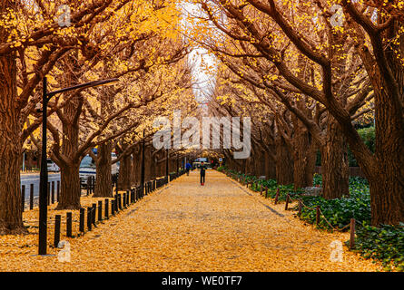 Dic 5, 2018 Tokyo, Giappone - Tokyo giallo ginkgo tunnel di alberi a Jingu gaien avanue in autunno con Tourist Godetevi il paesaggio. Attrazioni famose a novembre Foto Stock