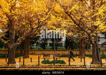 Dic 5, 2018 Tokyo, Giappone - Tokyo giallo ginkgo tunnel di alberi a Jingu gaien avanue in autunno con la gente che camminava sul marciapiede. Attrazioni famose in Novem Foto Stock