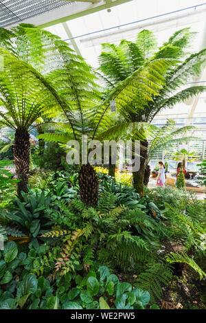 Inghilterra, Berkshire, Windsor, Windsor Great Park, il Savill Garden, la Regina Elisabetta II Casa temperate Foto Stock