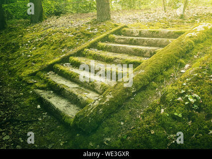 Antiche scale in pietra passi nei boschi coperti da muschio verde. Misteriosa scena da favola con una vecchia scalinata. Foto Stock