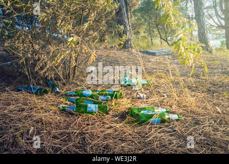 Irresponsabili lasciando vuote sporca di bottiglie di birra e un sacco di immondizia nel parco dopo la festa. Inquinamento Ambientale, problema ecologico. Bad h Foto Stock