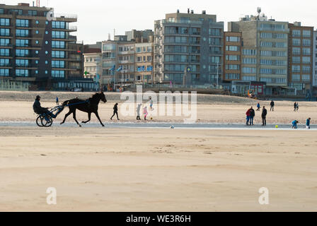 La formazione di un cavallo da corsa sulla spiaggia in autunno con alcuni edifici in background Foto Stock