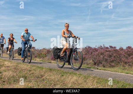 Persone in bicicletta attraverso la fioritura viola heath in Olandese Veluwe Foto Stock