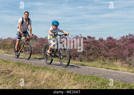 Uomo e ragazzo in mountain bike Escursioni in bicicletta attraverso la brughiera olandese Foto Stock