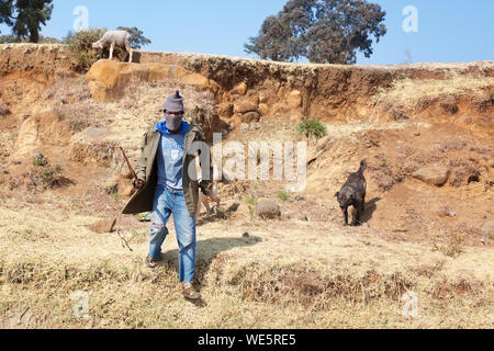 Semonkong, Lesotho - Settembre 20, 2017: africano giovane pastore uomo in lana nazionale balaclava, cane, pecore, pietra rocciosa pendenza montagne Drakensberg Foto Stock