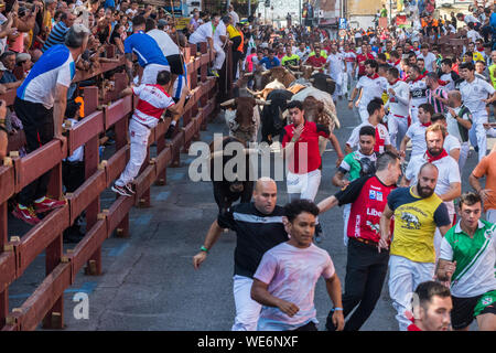 San Sebastian de los Reyes, Madrid, Spagna. Il 30 agosto, 2019. Le persone che eseguono inseguito da tori durante il quarto giorno della corsa dei tori ("encierros') nel comune di San Sebastian de los Reyes, vicino Madrid, noto anche come "Pamplona Chica' (piccola Pamplona). Credito: Marcos del Mazo/Alamy Live News Foto Stock