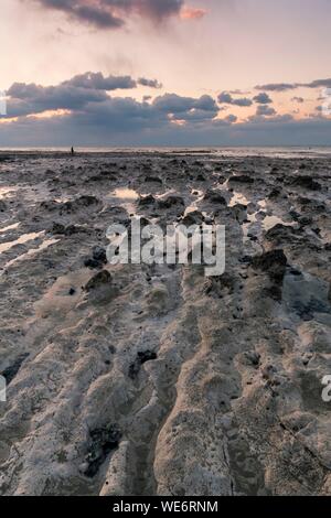 Francia, Somme, Ault, scuotipaglia sull'altopiano gessoso ai piedi delle falesie a Ault, al crepuscolo Foto Stock