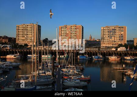 Francia, Pas de Calais, Boulogne sur Mer, porto di Boulogne sur Mer Foto Stock