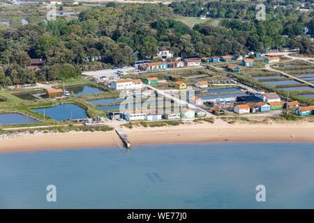 Francia, Charente Maritime, Ile d'Oleron, Saint Pierre d'Oleron, Fort Royer ostricoltura village (vista aerea) Foto Stock