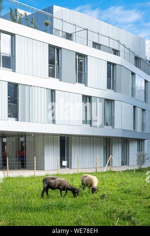 Francia, Parigi, lungo il GR® Parigi 2024, metropolita di lunga distanza sentiero escursionistico creato a sostegno di Parigi offerta per il 2024 Giochi Olimpici, Plaisance district, la cattedrale di Notre Dame de Bon Secours sito Foto Stock