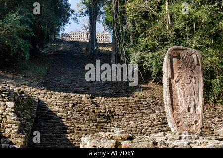 Messico, Chiapas, Yaxchilan, Maya sito archeologico, stele scolpite e e le scale che portano al grande acropoli Foto Stock