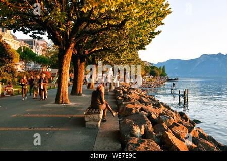 Suisse, Canton Vaud, sul Lago di Ginevra, Montreux, il lago di Ginevra banche, Montreux waterfront Foto Stock
