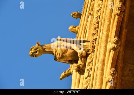 Francia, Somme, Amiens, la cattedrale di Notre Dame, gioiello dell'arte gotica, classificato come patrimonio mondiale dall'UNESCO, la facciata occidentale, doccioni Foto Stock