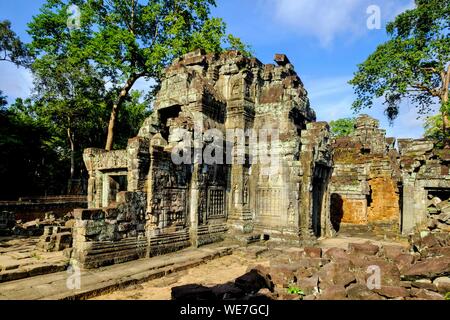 Cambogia Angkor sulla lista del Patrimonio Mondiale dell'UNESCO, Preah Khan di Angkor, costruito nel 1191 dal Re Jayavarman VII Foto Stock