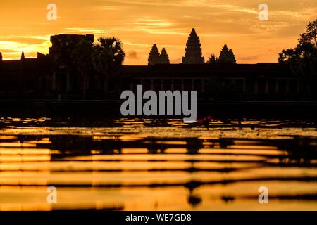 Cambogia Angkor sulla lista del Patrimonio Mondiale dell'UNESCO, Angkor Vat tempio, costruito nel XII secolo da re Suryavarman II, sunrise Foto Stock