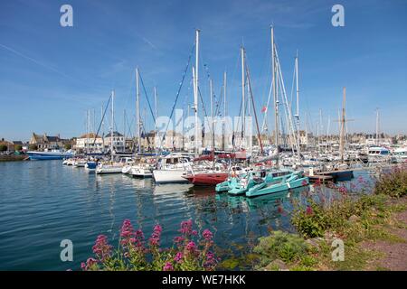 Francia, Manche, Saint Vaast La Hougue, Porto Foto Stock