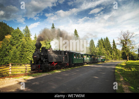 Antenna vista estiva del treno a vapore in Bucovina. Mocanita Hutulca treno turistico da Moldovita Foto Stock