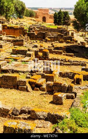 Il Marocco, Rabat, elencato come patrimonio mondiale dall UNESCO, il vecchio santuario musulmano di Chellah Foto Stock