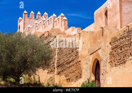 Il Marocco, Rabat, elencato come patrimonio mondiale dall UNESCO, il vecchio santuario musulmano di Chellah Foto Stock