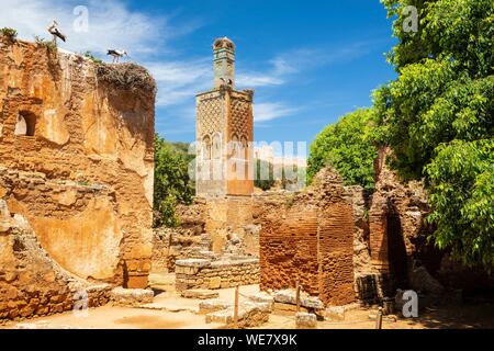 Il Marocco, Rabat, elencato come patrimonio mondiale dall'UNESCO, la moschea nel vecchio santuario musulmano di Chellah Foto Stock