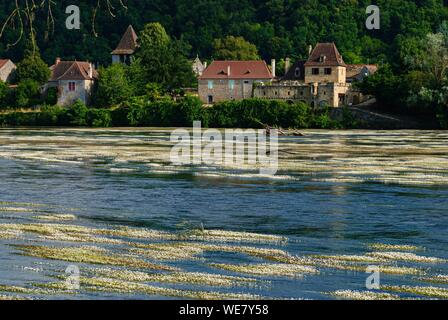 Francia, Dordogne, Badefols sur Dordogne lungo il fiume Dordogna Foto Stock