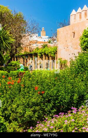 Il Marocco, Rabat, elencato come patrimonio mondiale dall UNESCO, Udayas kasbah (Kasbah des Oudaïas), il giardino andaluso Foto Stock