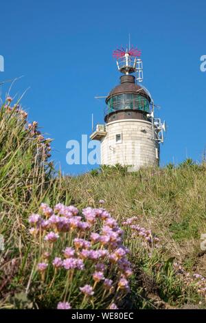 Francia, Pas de Calais, Côte d'Opale, Parc naturel regional des Caps et Marais d'Opale, cap gris nez, Audinghen, FARO Foto Stock